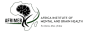 Africa Institute of Mental and Brain Health logo
